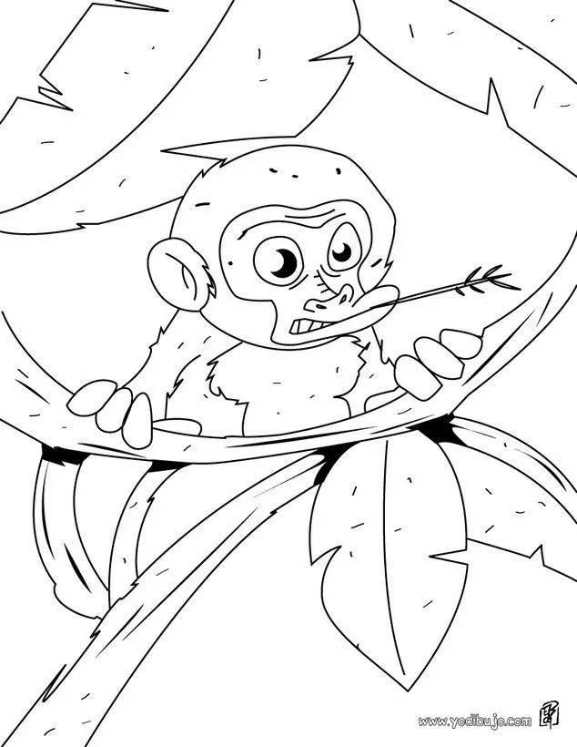 Dibujos ANIMALES DE LA JUNGLA para colorear, mono en los arboles ... Dibujos ANIMALES DE LA JUNGLA para colorear, mono en los arboles ...