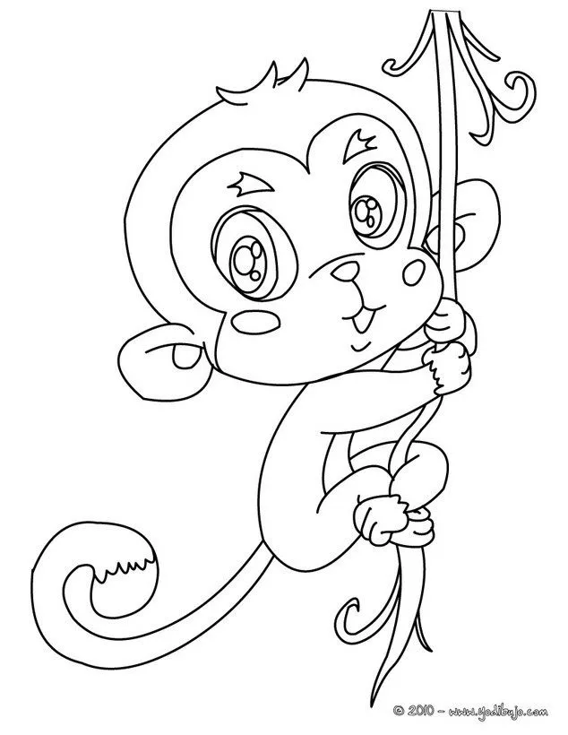 Dibujos ANIMALES DE LA JUNGLA para colorear, MONO para imprimir Dibujos ANIMALES DE LA JUNGLA para colorear, MONO para imprimir