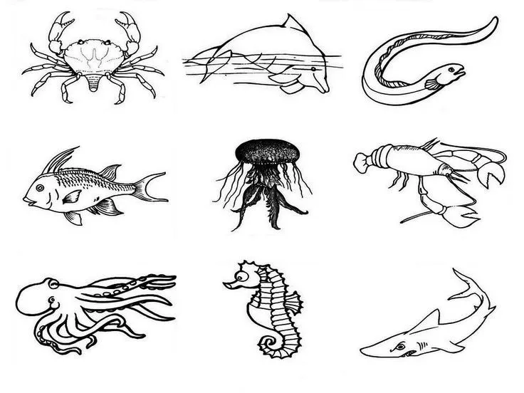 Dibujos de animales marinos para colorear, pintar, imprimir ...