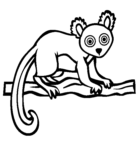dibujo-de-lemur-para-colorear.gif