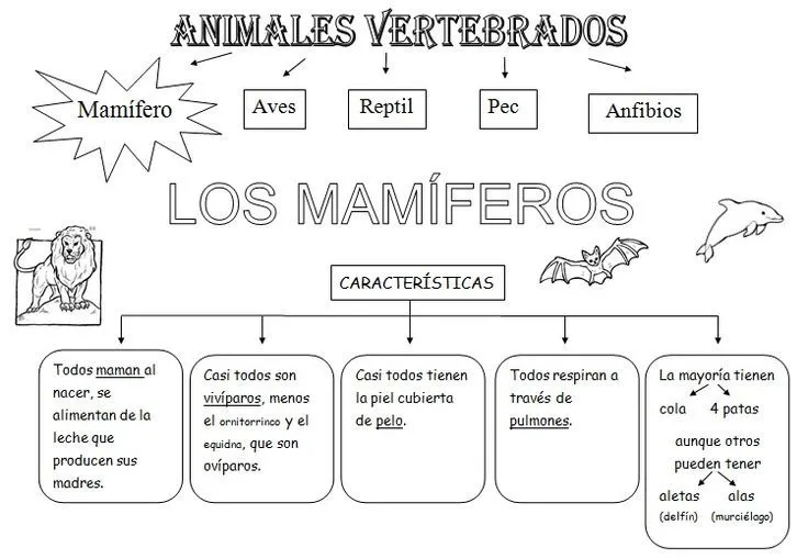 Dibujos para colorear de animales vertebrados y invertebrados - Imagui