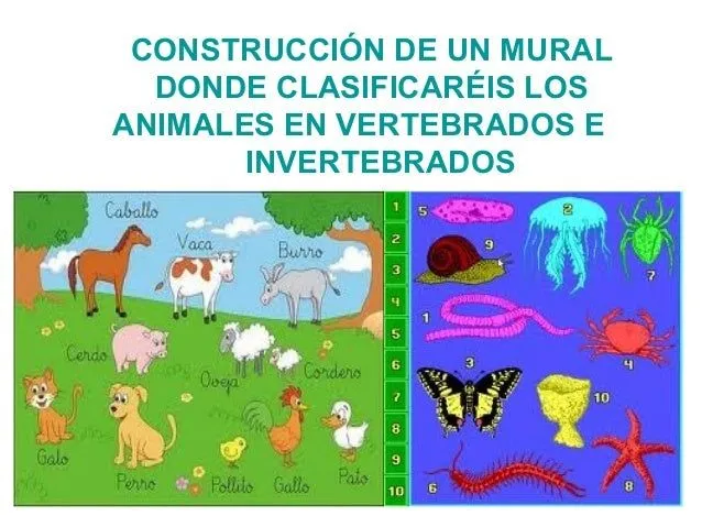 Dibujos sobre animales vertebrados e invertebrados - Imagui