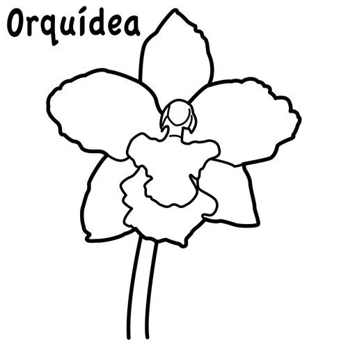 Dibujo de la orquidea nacional para colorear - Imagui