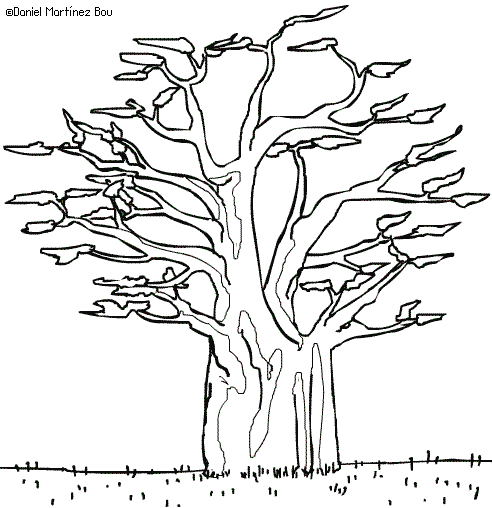 Dibujos de árboles – Botanical-online