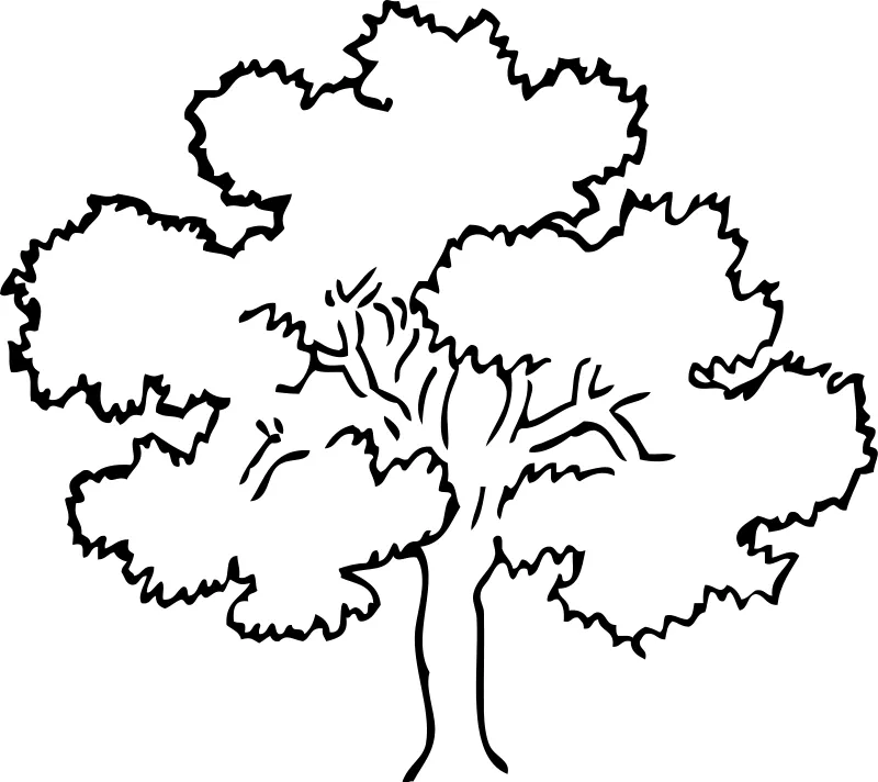 Dibujos de árboles para descargar, imprimir y colorear | Colorear ...