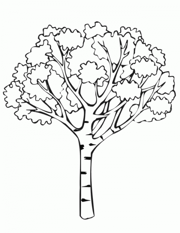 Dibujos de árboles para descargar, imprimir y colorear | Colorear imágenes