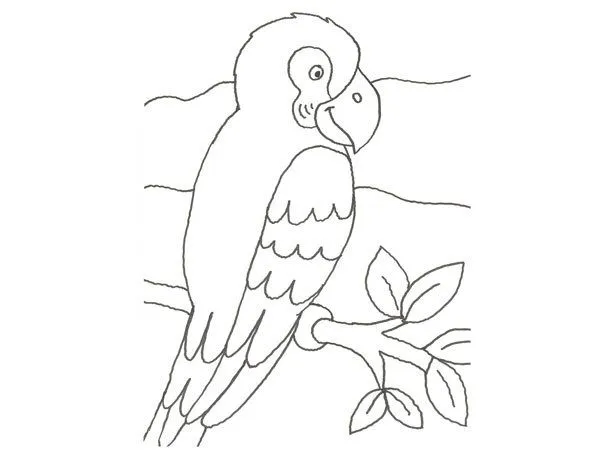 Dibujo de un papagayo para colorear con niños