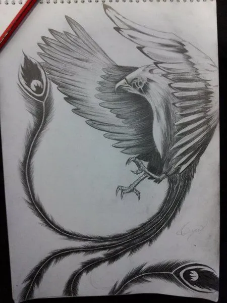 Dibujos de ave fenix a lapiz - Imagui