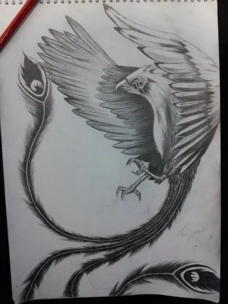 Dibujos de fenix a lapiz - Imagui