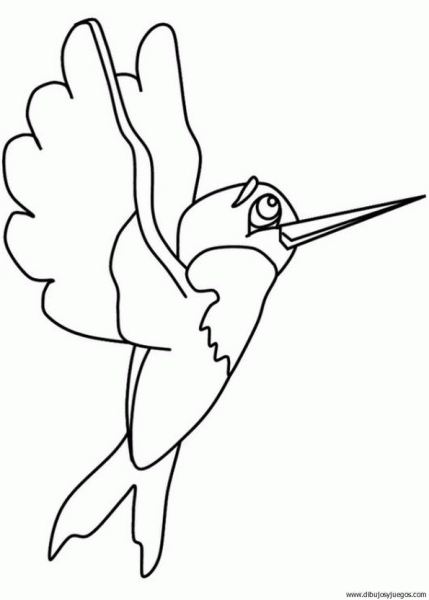 Imagen de un colibri para dibujar - Imagui