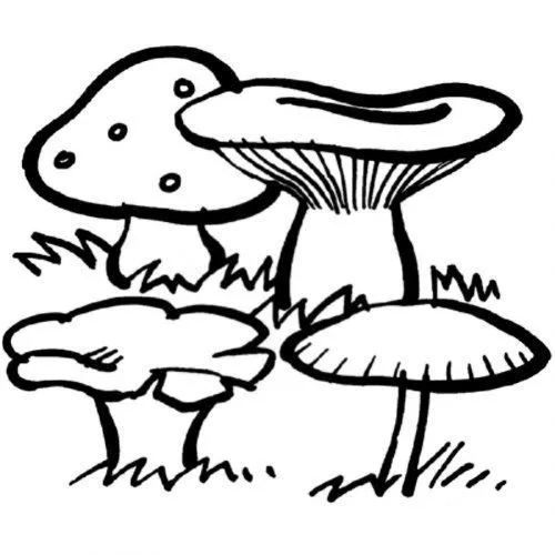 Dibujos de hongos para imprimir - Imagui