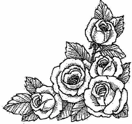 Dibujos de Rosas para Bordar, Dibujos para Pintar