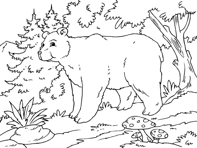 Un bosque con animales para dibujar - Imagui