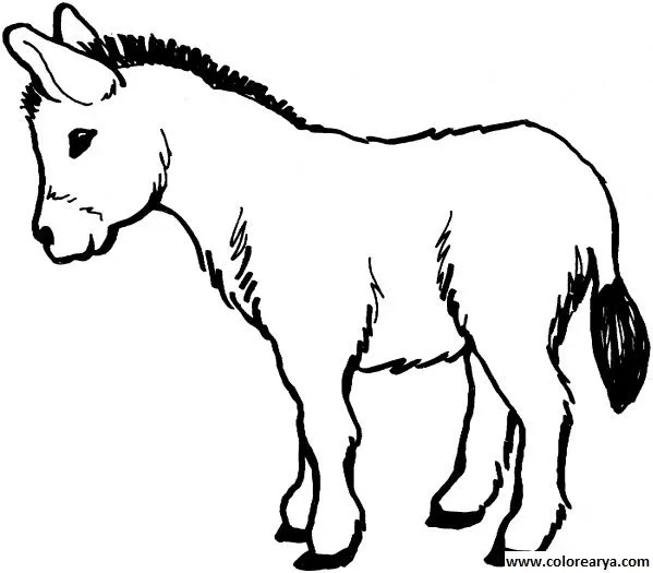 Dibujos de burros para niños - Imagui