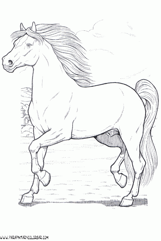 Dibujos - Caballos on Pinterest | Horse Coloring Pages, Dibujo and ...