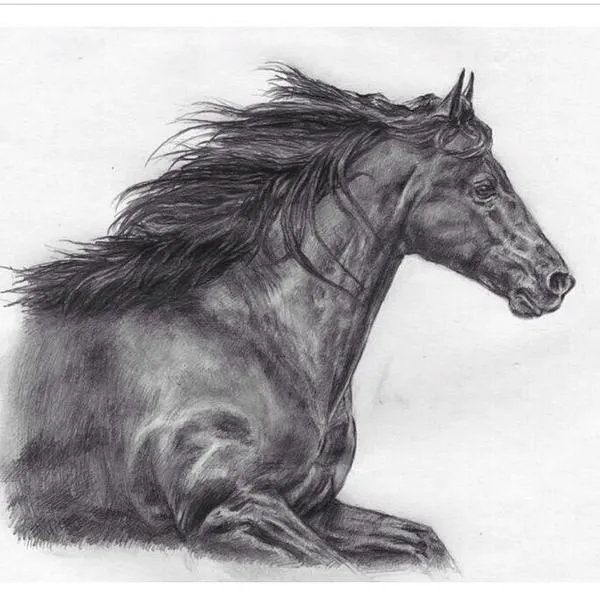 Dibujos De Caballos / Horse Drawings on Pinterest | Dibujo, Horses ...