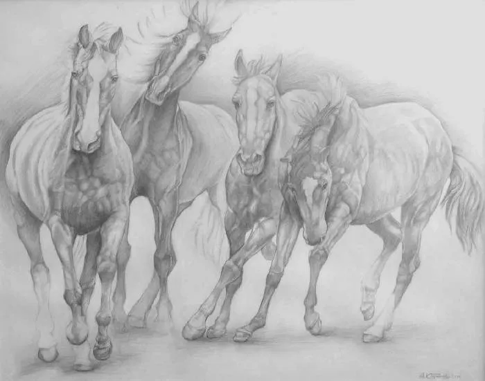 Dibujos de caballos a lapiz - Imagui