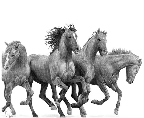 Dibujos de caballos. | Quiero más diseño