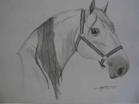 mis dibujos de caballos - YouTube