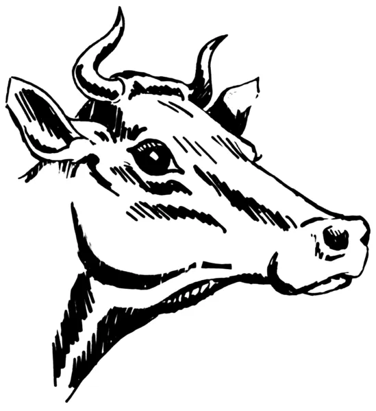 Dibujos de CARAS DE toros para colorear - Imagui