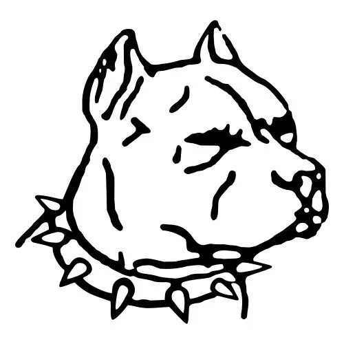 Caras de perros pitbull para dibujar - Imagui