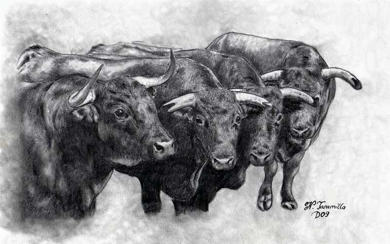 Dibujos de caras de toros - Imagui