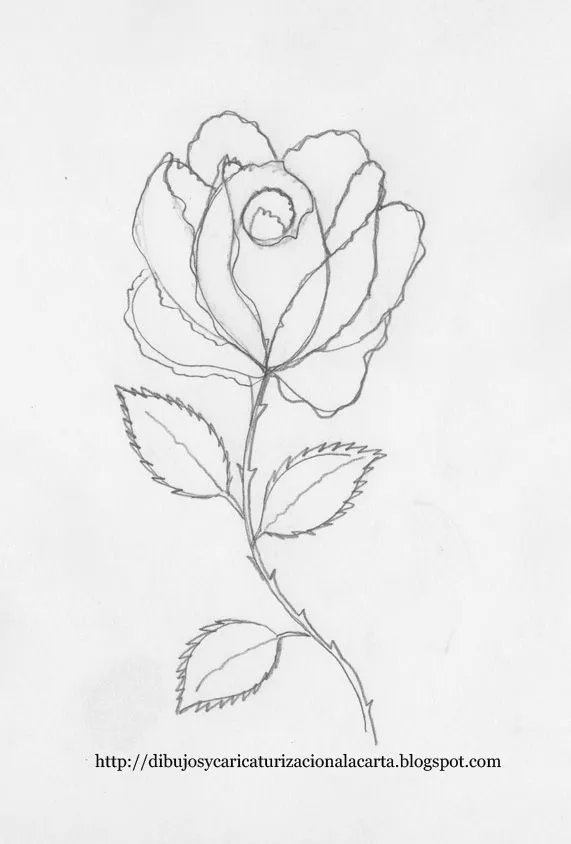 dibujos y caricaturizacion a la carta: Como Dibujar una Rosa ... dibujos y caricaturizacion a la carta: Como Dibujar una Rosa ...