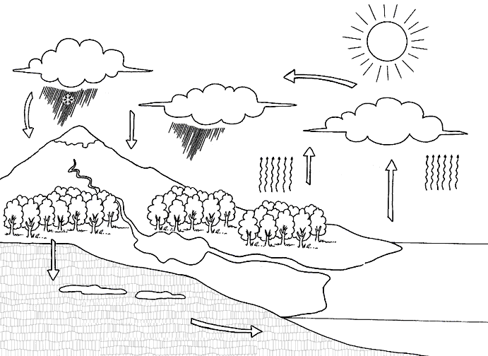 Dibujos del ciclo del agua para niños - Imagui