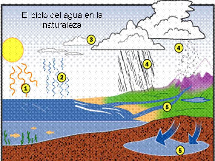 Dibujos para colorear e imprimir del ciclo del agua - Imagui