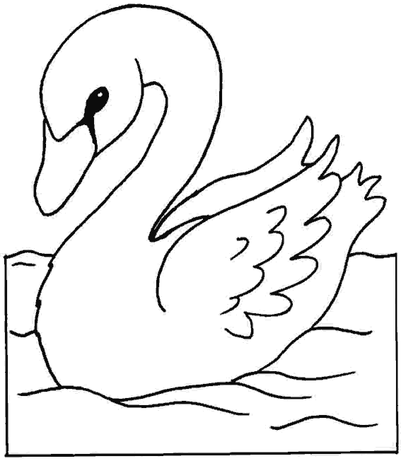 Dibujos de cisnes para colorear e imprimir - Imagui