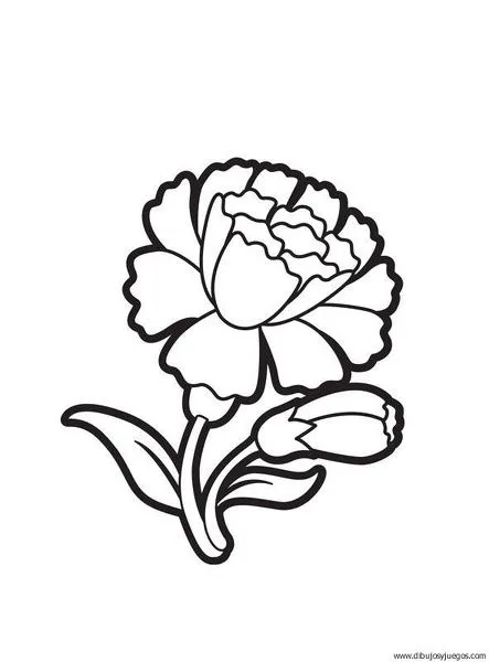 dibujo-flores-claveles-000 | Dibujos y juegos, para pintar y colorear