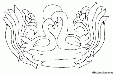Dibujos de cisnes en amor - Imagui