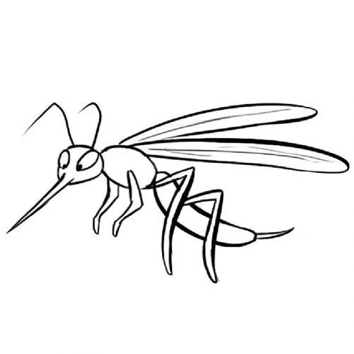 Dibujo de mosquito en el bosque para imprimir - Dibujos para ...