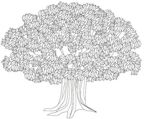 Dibujo de el arbol araguaney - Imagui
