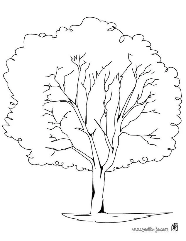 Dibujos para colorear un árbol plátano - es.hellokids.com