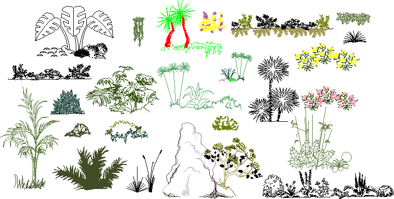 Dibujos infantiles de arbustos - Imagui