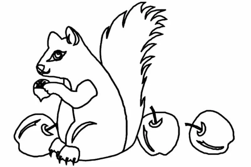 Dibujos para colorear de Ardillas, Plantillas para colorear de ... Dibujos para colorear de Ardillas, Plantillas para colorear de ...