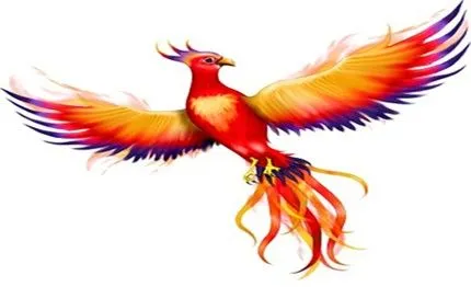 Dibujos para colorear del ave fenix - Imagui