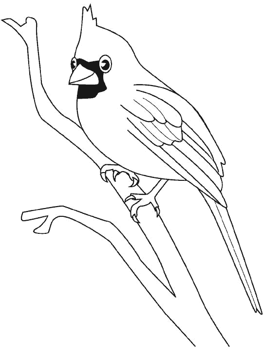 Dibujos para colorear de Aves, Plantillas para colorear de Aves
