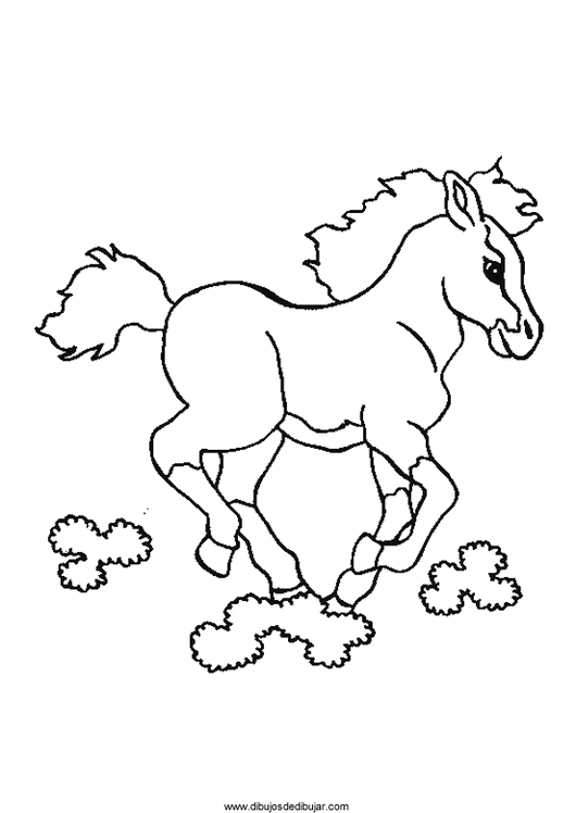 Dibujos para colorear de caballos (4 de 5)Dibujos de dibujar
