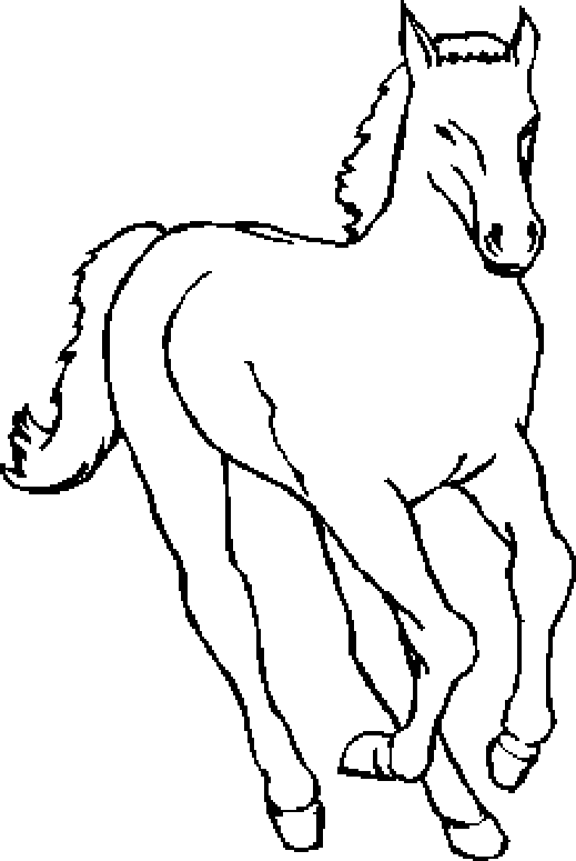 Dibujos para colorear de caballos - Imagui