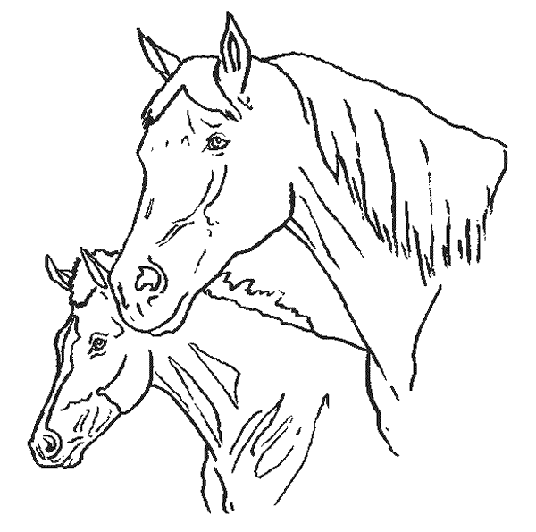 Pintar cabeza de caballo - Imagui