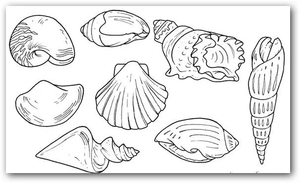 Dibujos para colorear caracoles de mar | Dibujos para Colorear