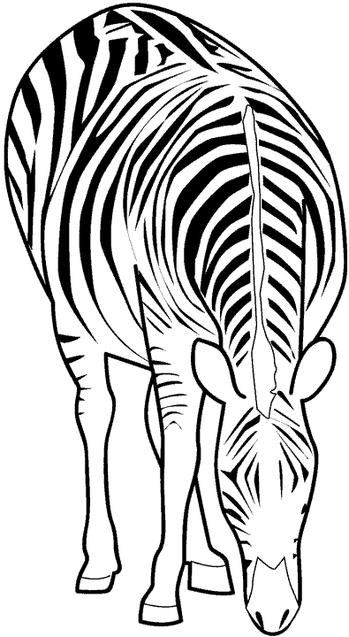 Dibujos para colorear de Cebras, Zebra, Equidae, Plantillas para ... Dibujos para colorear de Cebras, Zebra, Equidae, Plantillas para ...