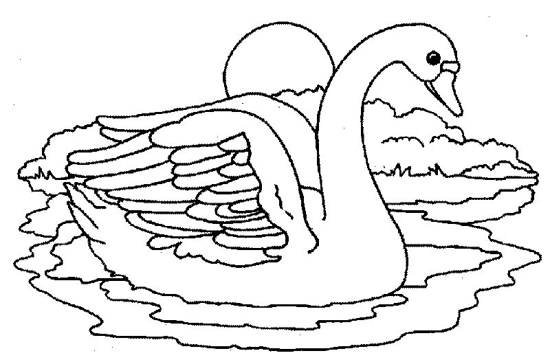 El arte de enseñar: Colorear cisne 1