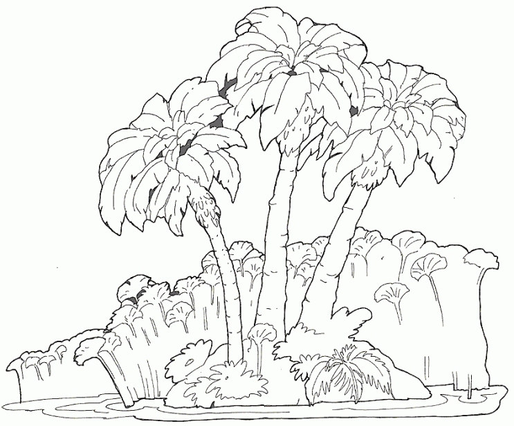 Selvas tropicales para dibujar - Imagui