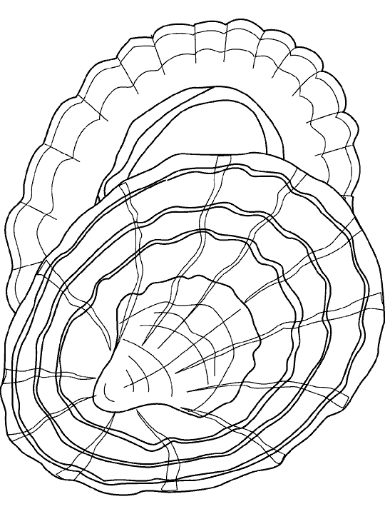 Dibujos para colorear de Crustáceos, Crustacea, Conchas Dibujos para colorear de Crustáceos, Crustacea, Conchas