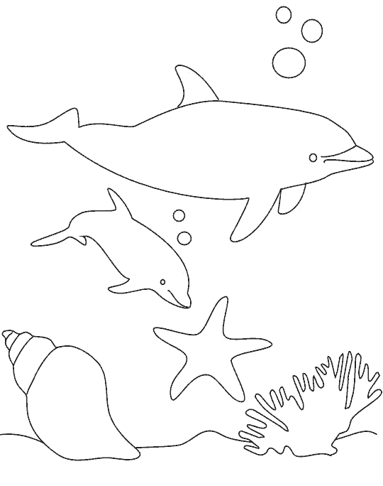 Dibujos para colorear de Delfines, Delphinidae, Delfín