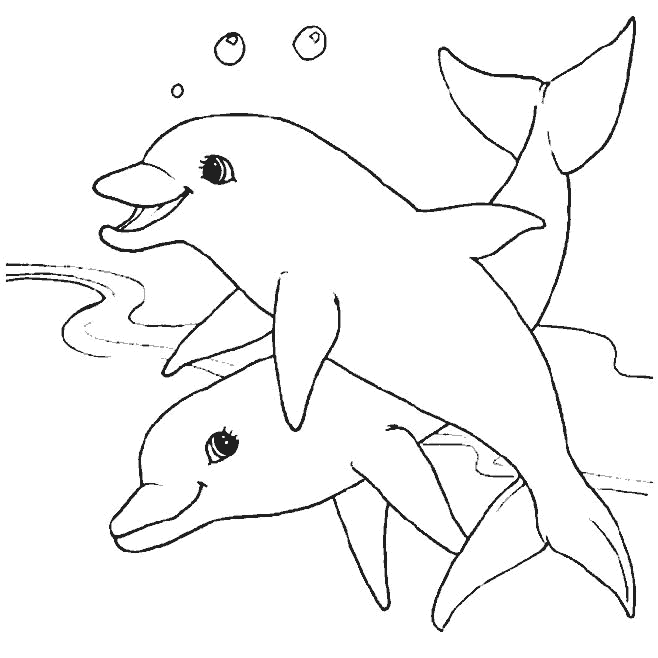 Dibujos para colorear de Delfines, Delphinidae, Delfín
