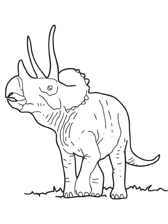 Dibujos para colorear DINOSAURIOS, Triceratops para niños para ...